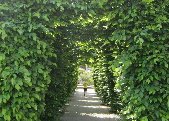 Hderh - Eco Op De Ijsvogel, Zwembaden, Kids Fun, En Rust 부투이젠