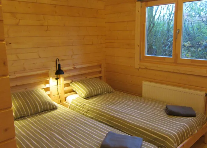 Hderh - Eco Op De Ijsvogel, Zwembaden, Kids Fun, En Rust Villa Voorthuizen